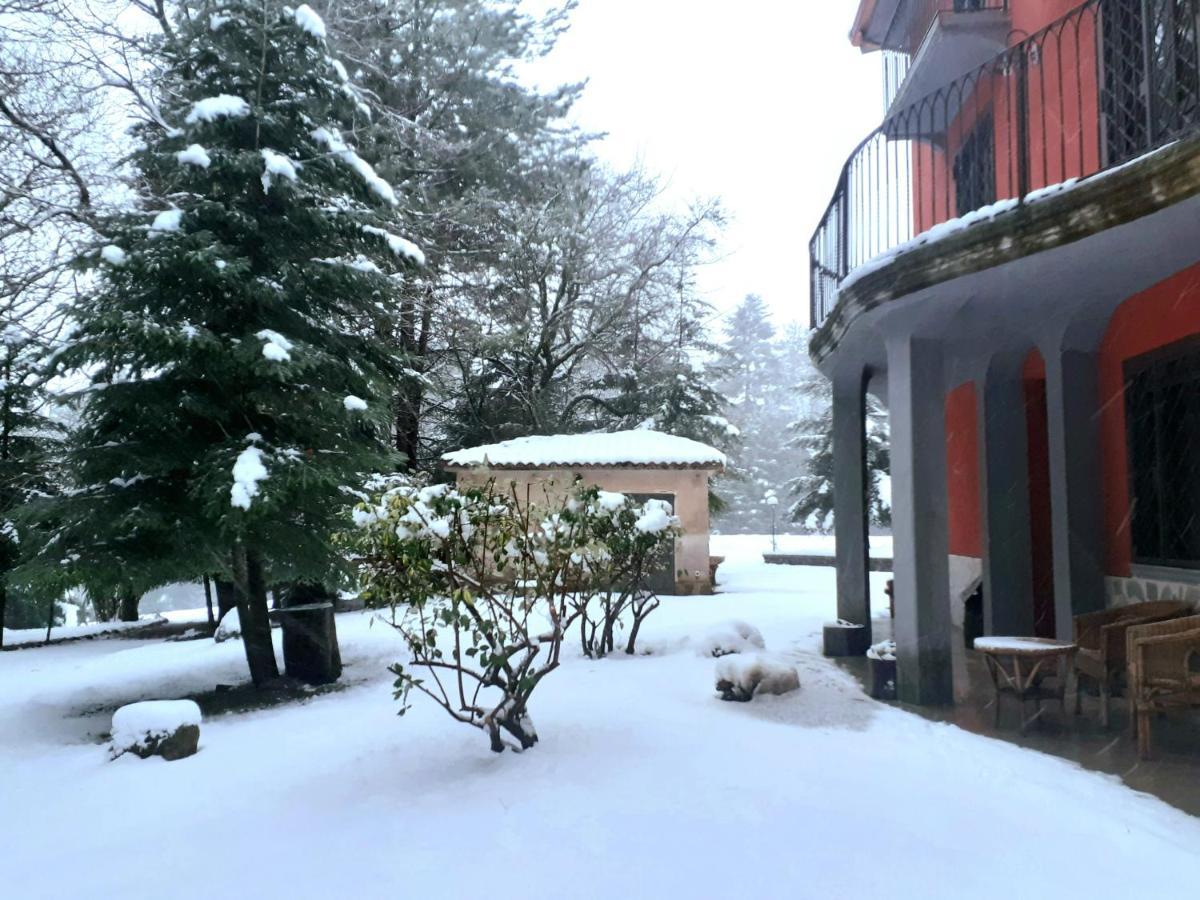Casa Alegria Bed and Breakfast Morano Calabro Exteriör bild